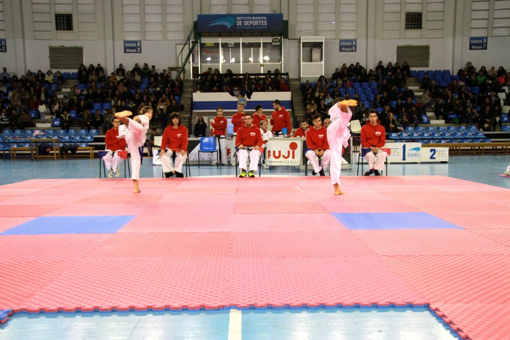 Taekwondo Dic 2016 (223).jpg